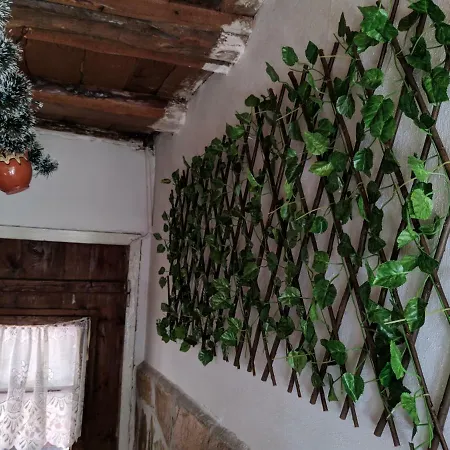 Кьосевата Къща * Belovo